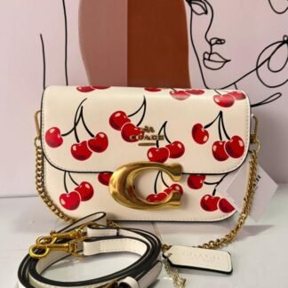Bolsa 120