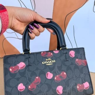 Bolsa 170